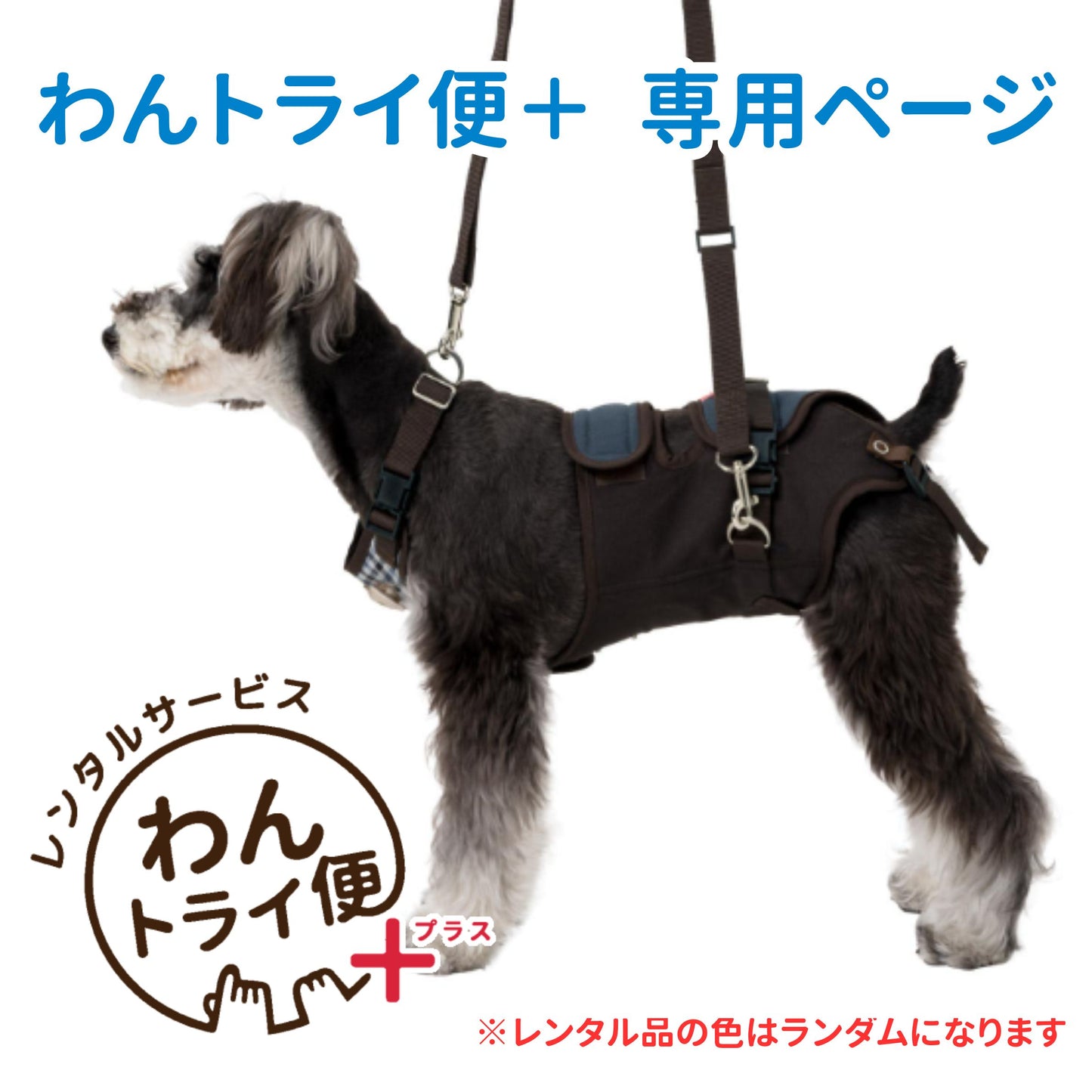 【レンタルサービスわんトライ便+】 介護ハーネス LaLaWalk 小型犬・ダックス用