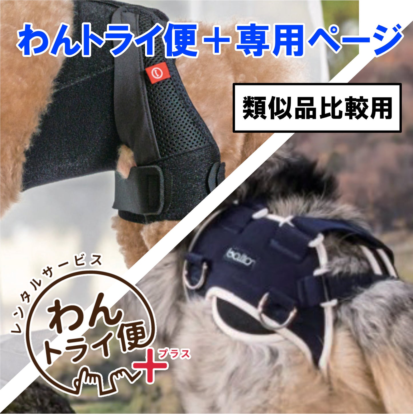 【レンタルサービスわんトライ便+】 アニサポ ヒップ&BT LIFE 類似品比較用 【7日間】