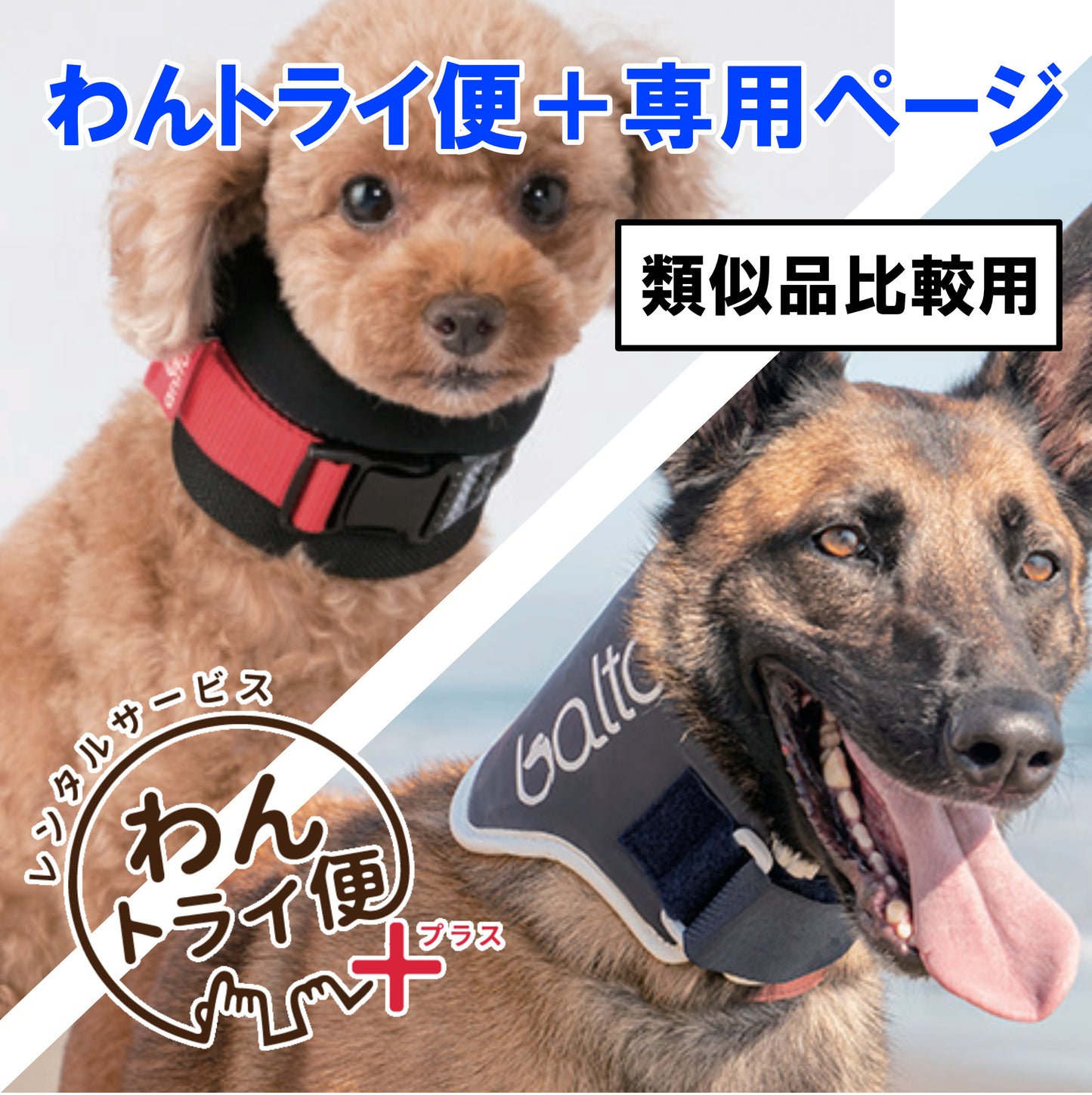 【レンタルサービスわんトライ便+】 アニサポネック&BT NECK 類似品比較用 【7日間】
