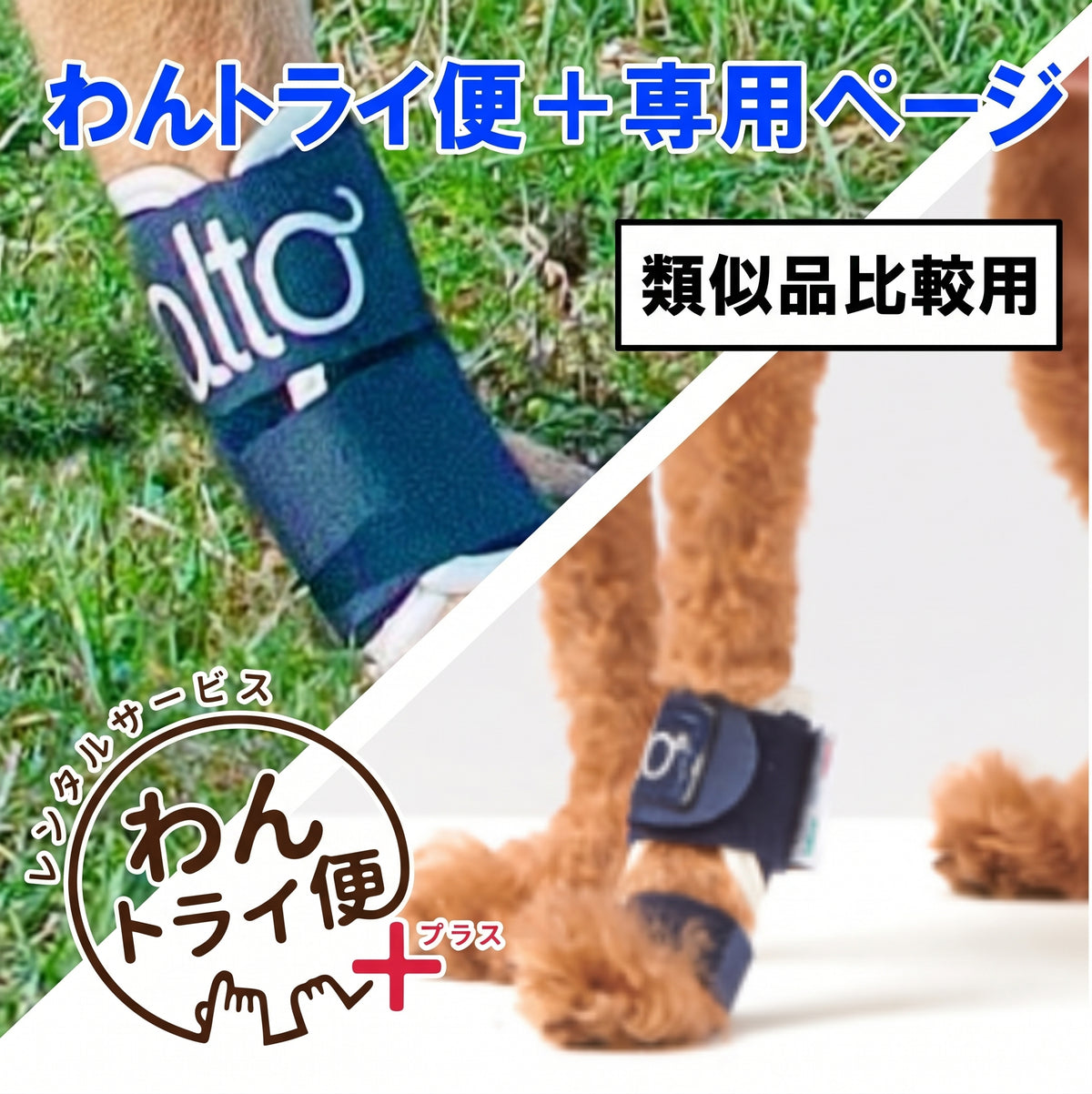 【レンタルサービスわんトライ便+】 BT SPLINT&BT JOINT 類似品比較用 【7日間】
