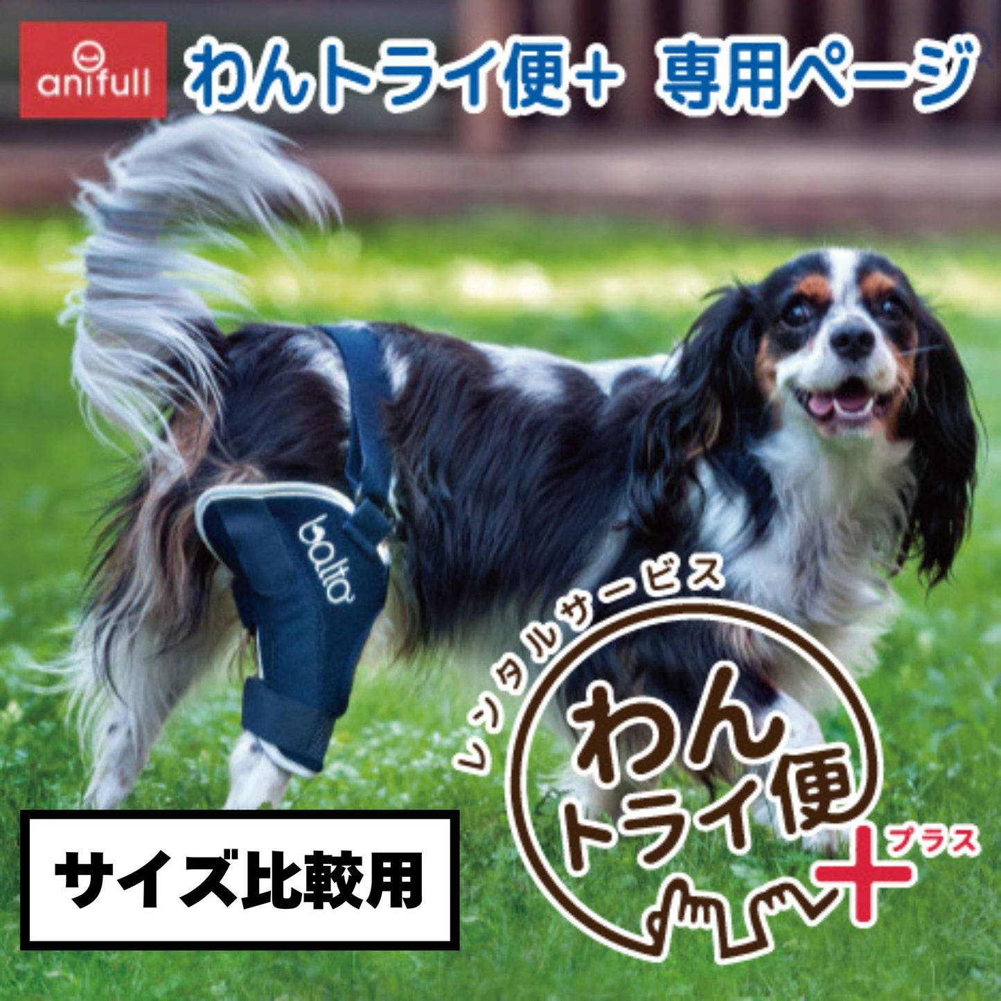 【レンタルサービスわんトライ便+】BT JUMP (膝サポーター) 犬用 後ろ足 サポーター 前後サイズ比較用 【7日間のみ】