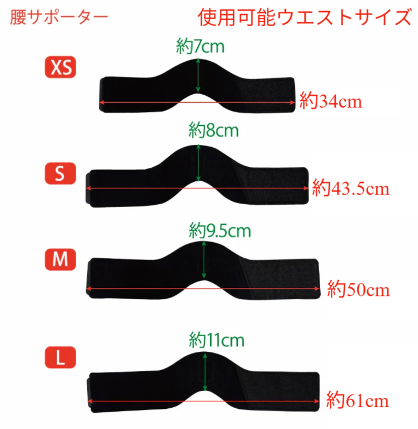 【レンタルサービスわんトライ便+】 アニサポ ニー