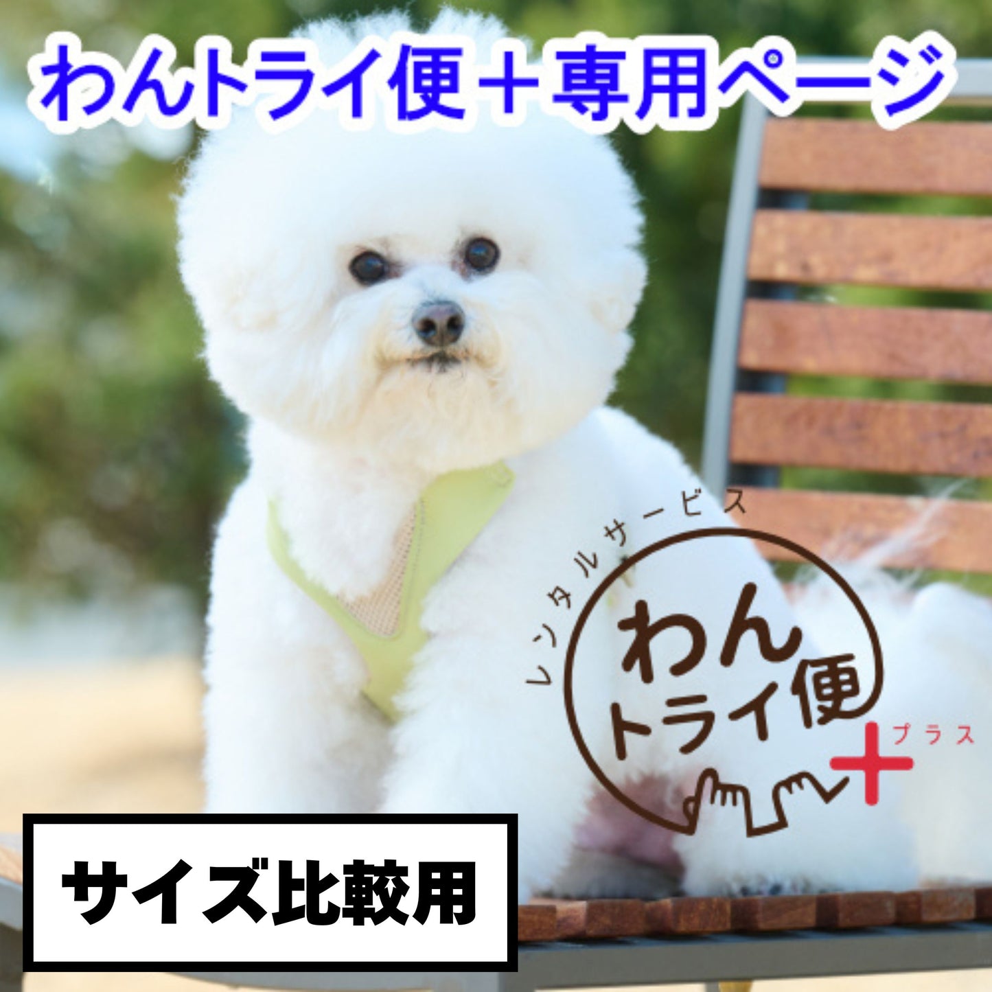 【レンタルサービスわんトライ便+】 アニサポ ハーレスト cocochi (ココチ) 専用リード付き 前後サイズ比較用 【7日間のみ】