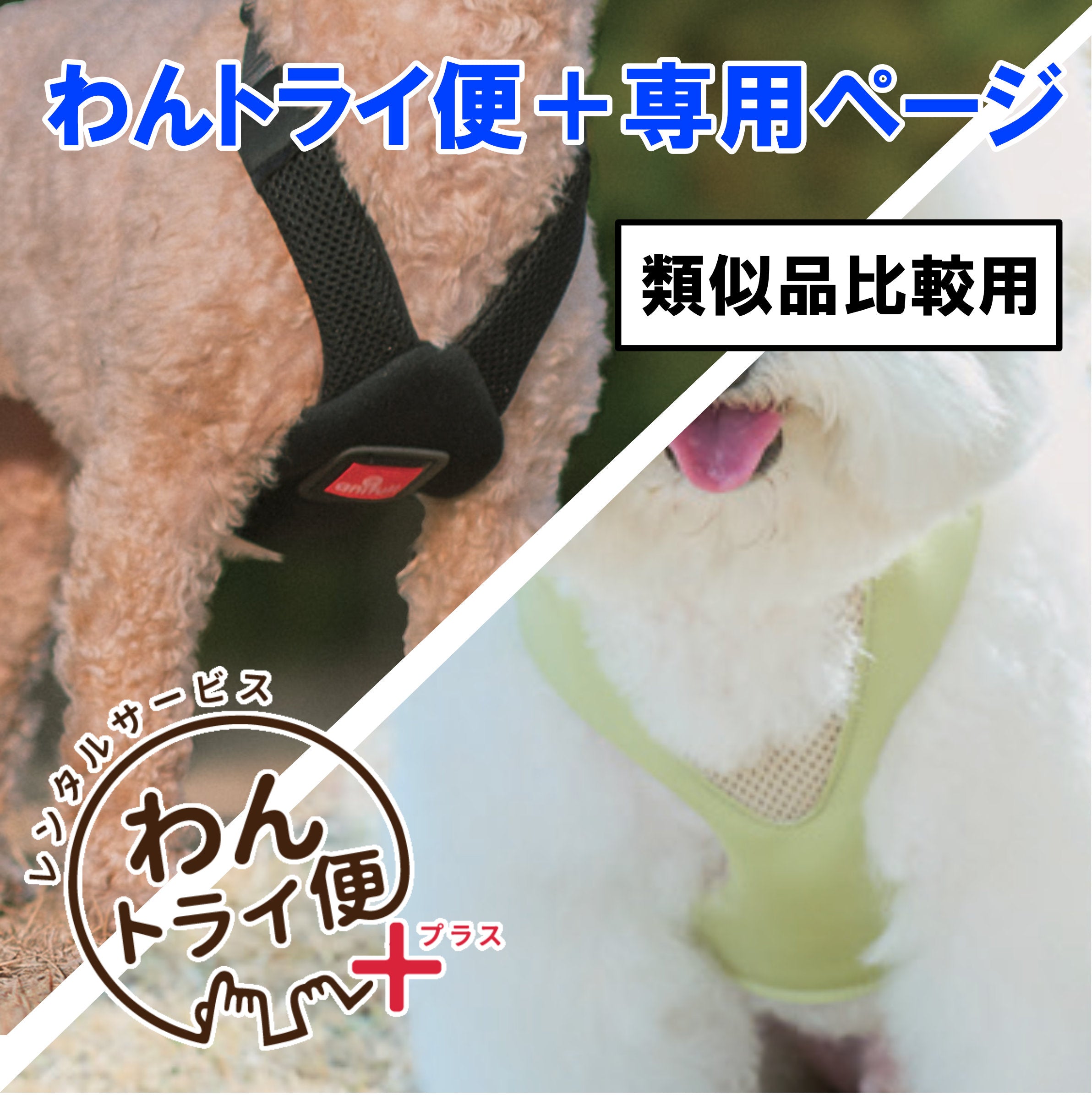 レンタルサービスわんトライ便+】 アニサポ ハーレスト cocochi&