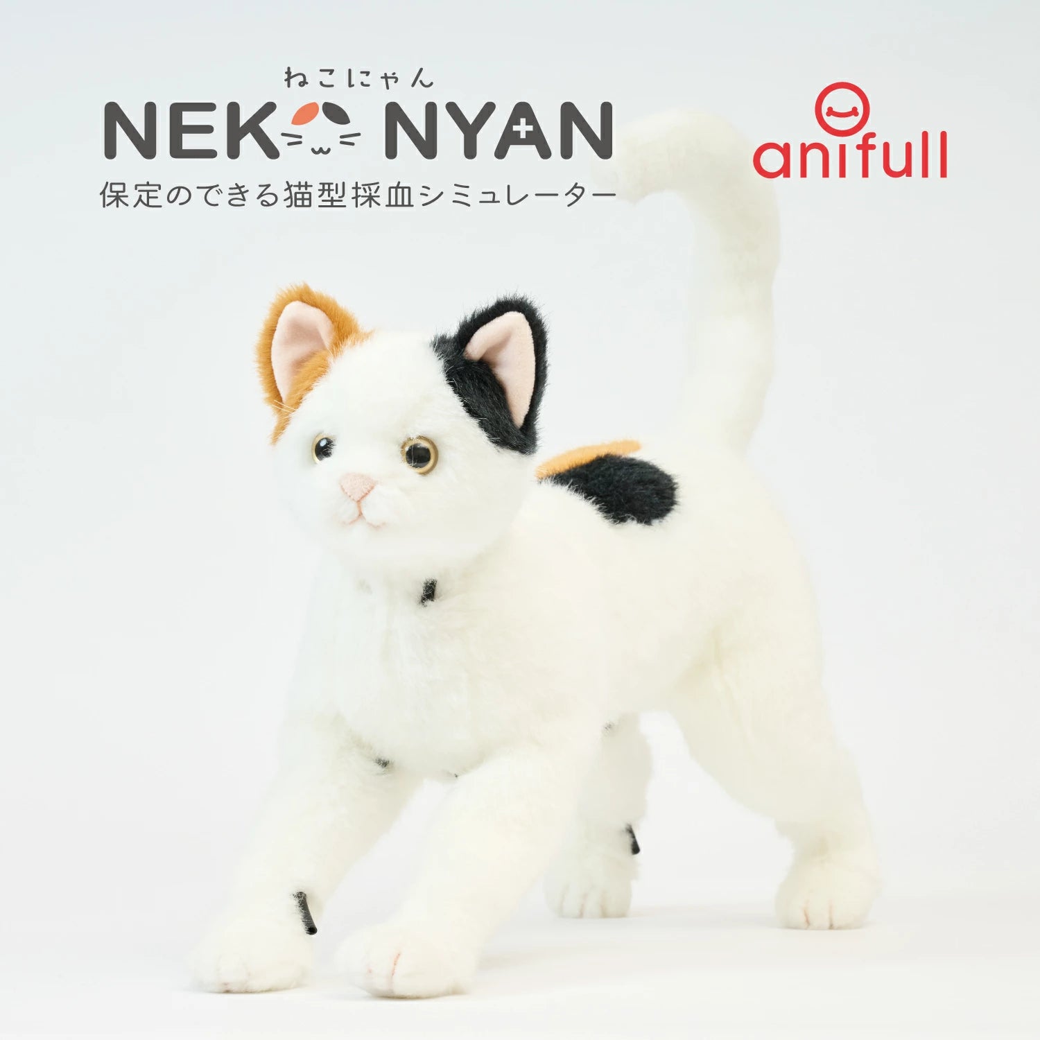 保定のできる猫型採血シミュレーター ねこにゃん – anifull 保定のできる猫型採血シミュレーター ねこにゃん – anifull