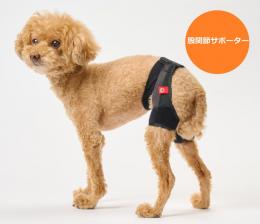 4月から新発売!　アニサポ ヒップ　小型犬向け 股関節サポーター