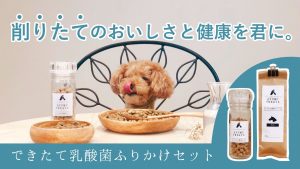 Wppostポスト表示 犬用コルセット 介護用品の販売 アニフル