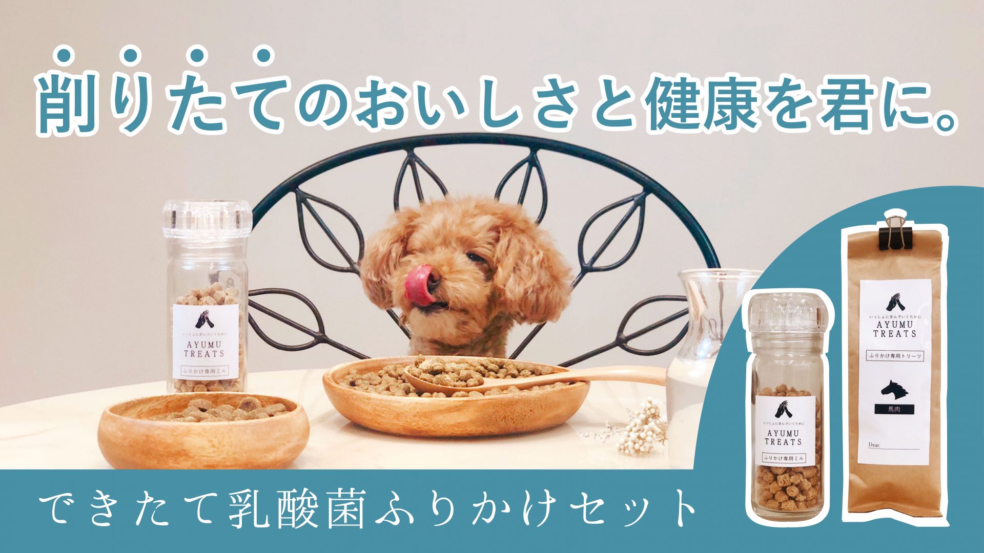 犬用コルセット 介護用品の販売 アニフル