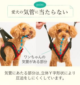 Wppostポスト表示 犬用コルセット 介護用品の販売 アニフル