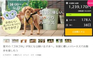 WpPostポスト表示 / 犬用コルセット・介護用品の販売 アニフル