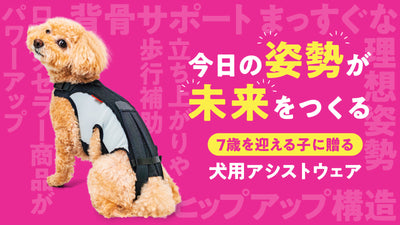 腰まわりが気になる愛犬を持つ飼い主さんへ｜わんコル LIFEの使い方と特徴