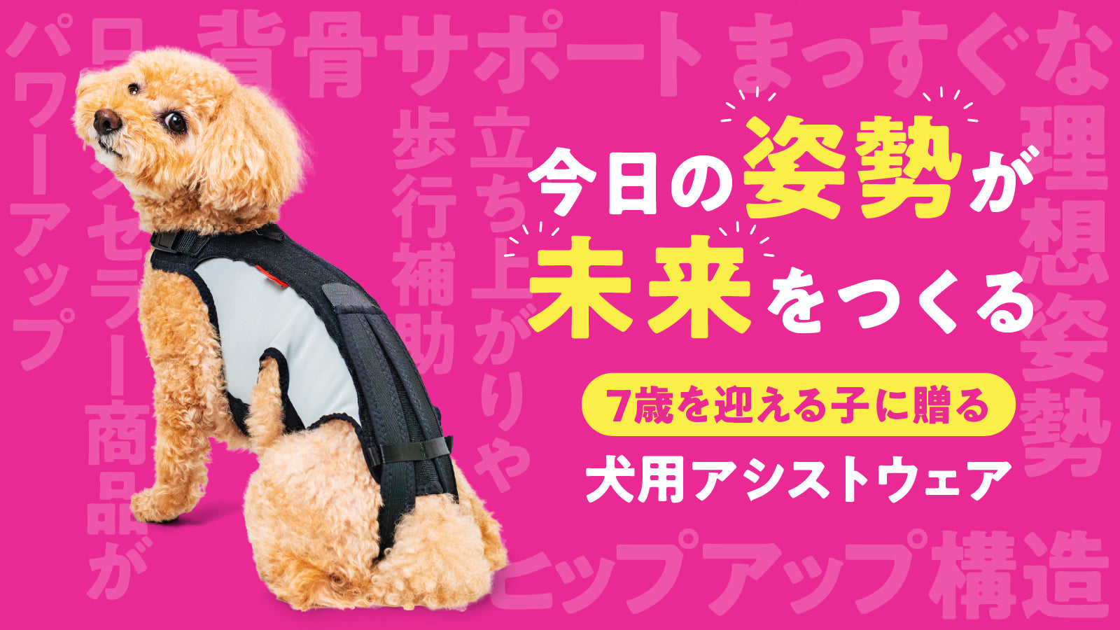 腰まわりが気になる愛犬を持つ飼い主さんへ｜わんコル LIFEの使い方と特徴
