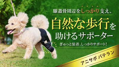膝のぐらつきが気になる愛犬へ｜アニサポ パテランの特徴と使い方