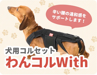 anifull(アニフル)|動物と”ずっと一緒に歩く”を叶える anifull(アニフル)|動物と”ずっと一緒に歩く”を叶える