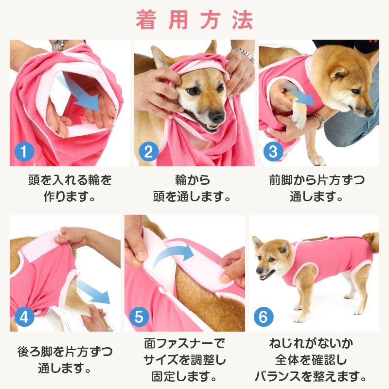 【レンタルサービスわんトライ便+】　術後服エリザベスウエア(男の子・女の子)【ダックス用・小型犬用・中型犬用】【14日間のみ】