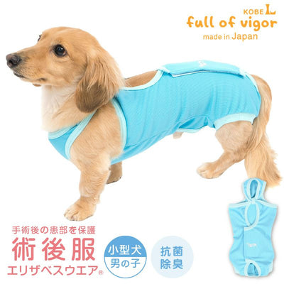 【レンタルサービスわんトライ便+】　術後服エリザベスウエア(男の子・女の子)【ダックス用・小型犬用・中型犬用】【14日間のみ】