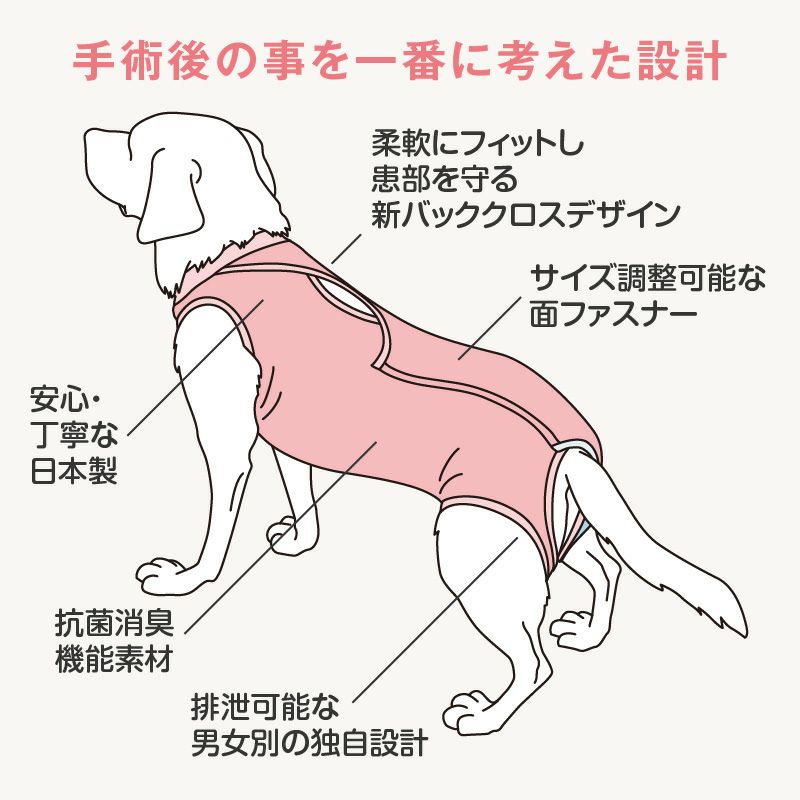 【レンタルサービスわんトライ便+】　術後服エリザベスウエア(男の子・女の子)【ダックス用・小型犬用・中型犬用】【14日間のみ】