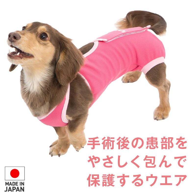 術後服エリザベスウエア(女の子-ダックス用)ピンク(PK)