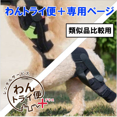 【レンタルサービスわんトライ便+】　アニサポ パテラン＆アニサポ ニー　類似品比較用　【7日間】