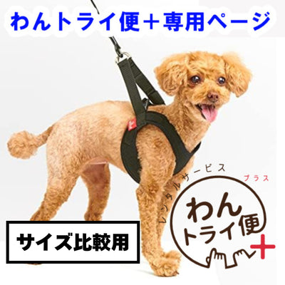 【レンタルサービスわんトライ便+】　　気管にやさしい アニサポ ハーレスト 前後サイズ比較用　【7日間のみ】
