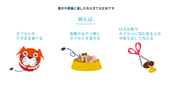 エランコジャパン ANSET(アンセット) 犬猫用 30粒