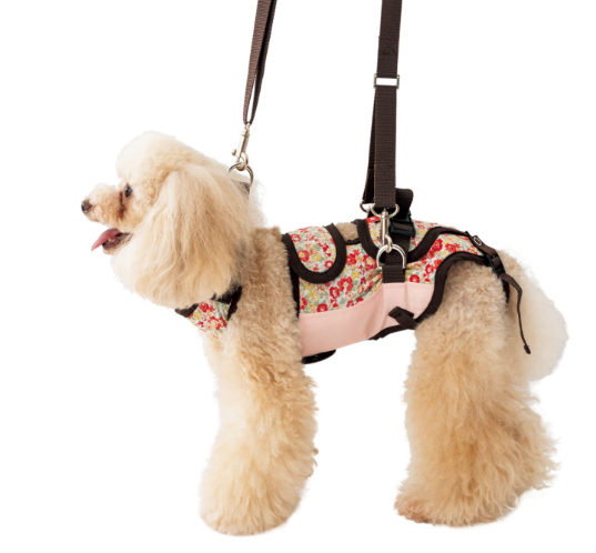 介護ハーネス LaLaWalk 小型犬・ダックス用 – anifull