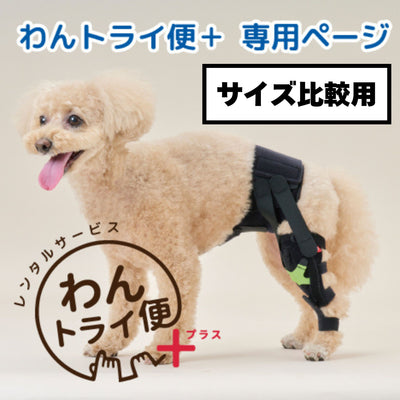 【レンタルサービスわんトライ便+】　アニサポ ニー 前後サイズ比較用　【7日間のみ】