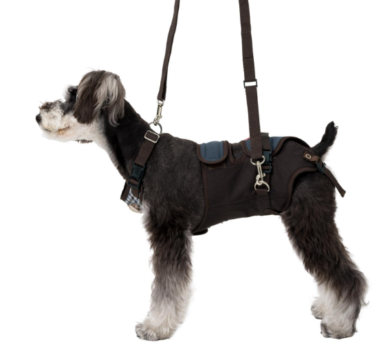 介護ハーネス LaLaWalk 小型犬・ダックス用 – anifull