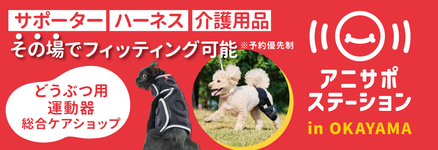 anifull（アニフル）｜動物と”ずっと一緒に歩く”を叶える