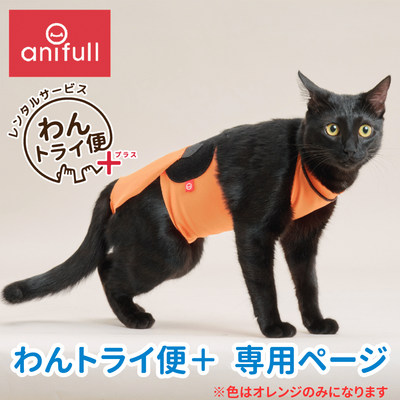 【レンタルサービスわんトライ便+】キズぐちエプロン 猫用　新発想!術後のネコちゃんのキズぐちをカバー【14日間のみ】