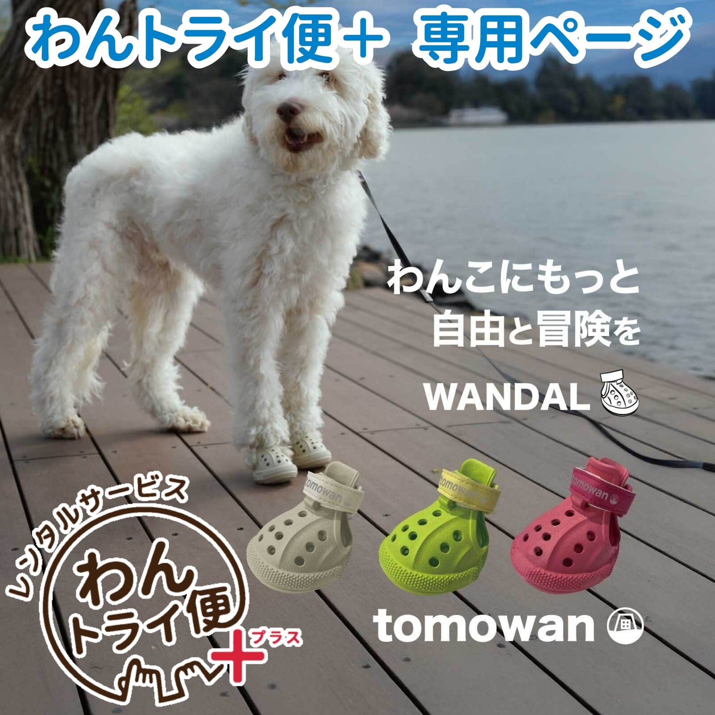 【レンタルサービスわんトライ便+】　わんちゃん専用シューズ WANDAL（ワンダル）4個入