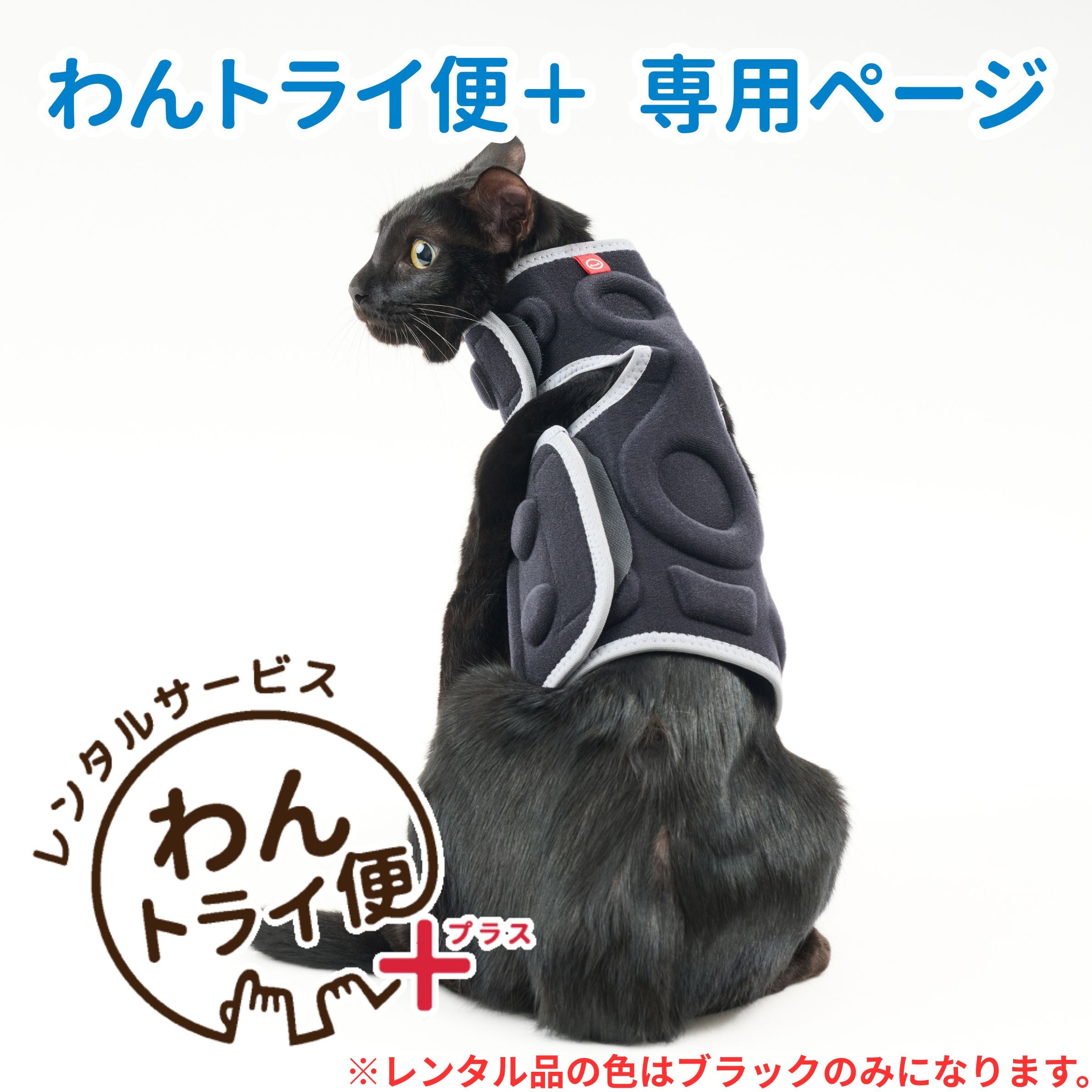 レンタルサービスわんトライ便+】 アニサポ にゃんケアチョッキ
