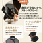 アニサポ ちょっとだけだカラー　＜2025年3月新発売＞