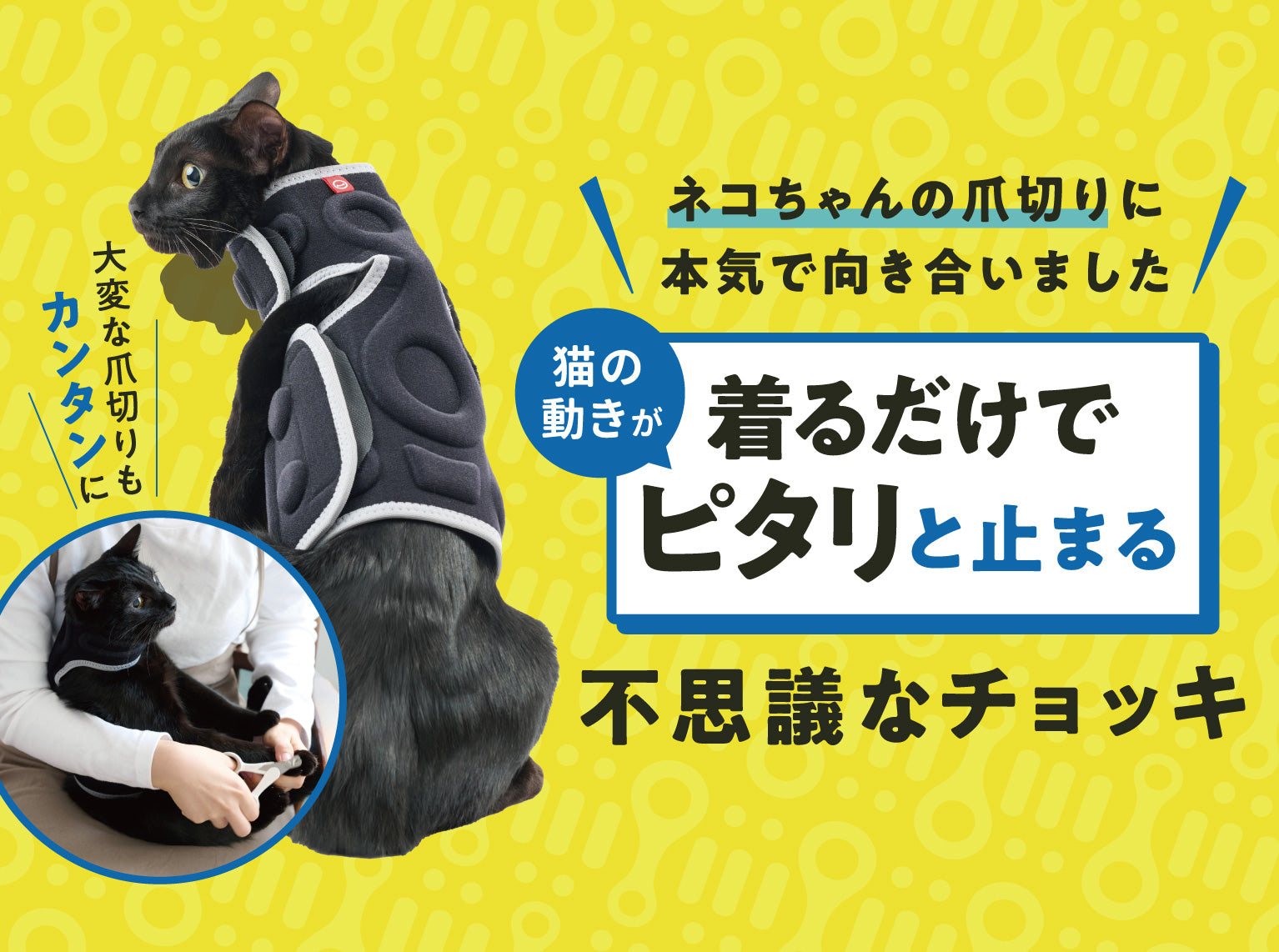 anifull（アニフル）｜動物と”ずっと一緒に歩く”を叶える