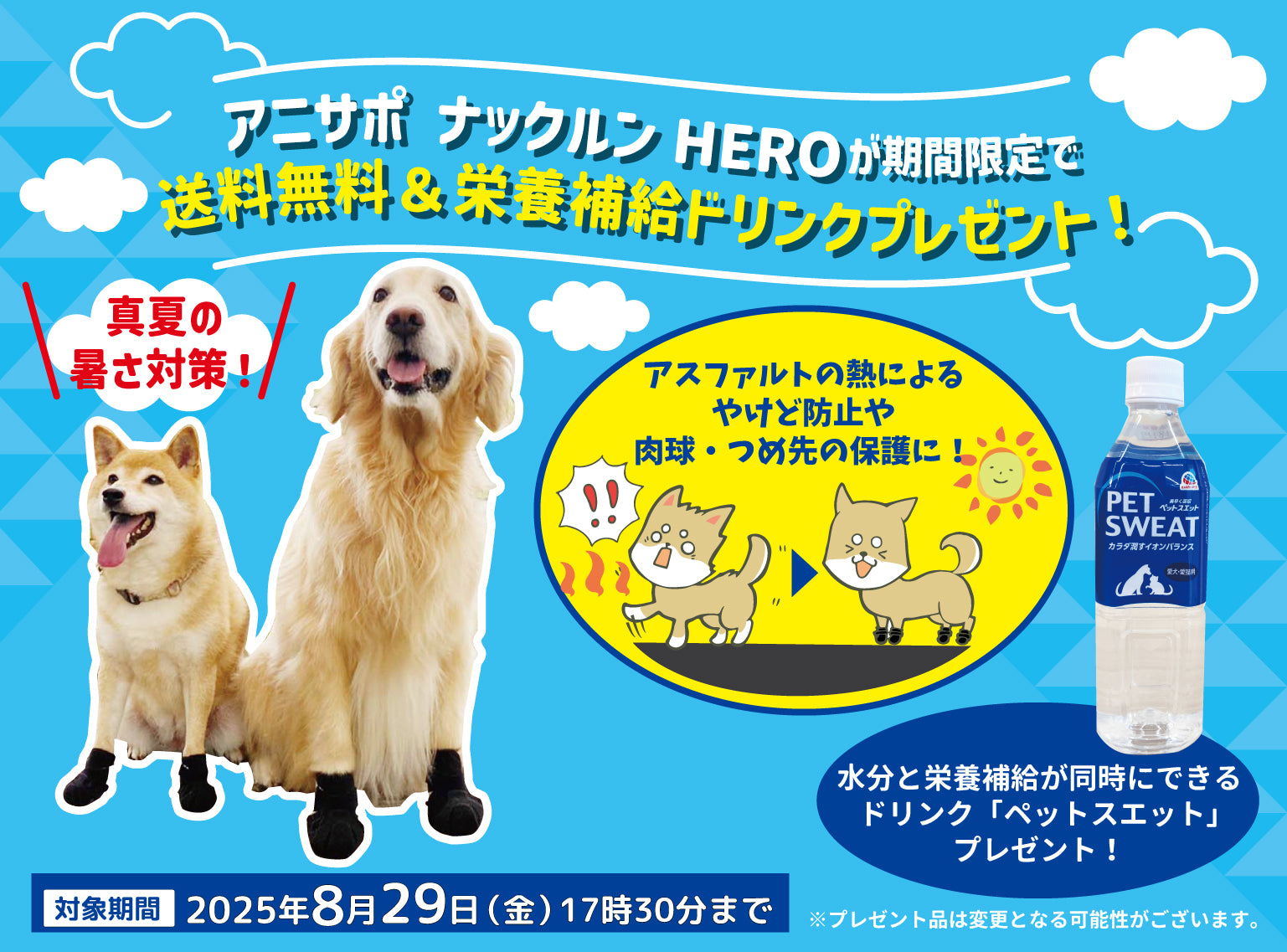 愛犬のしつけDVD 使用、未使用あり Amazon.co.jp: 藤井聡の愛犬のしつけ: DVDでよくわかる! (実用