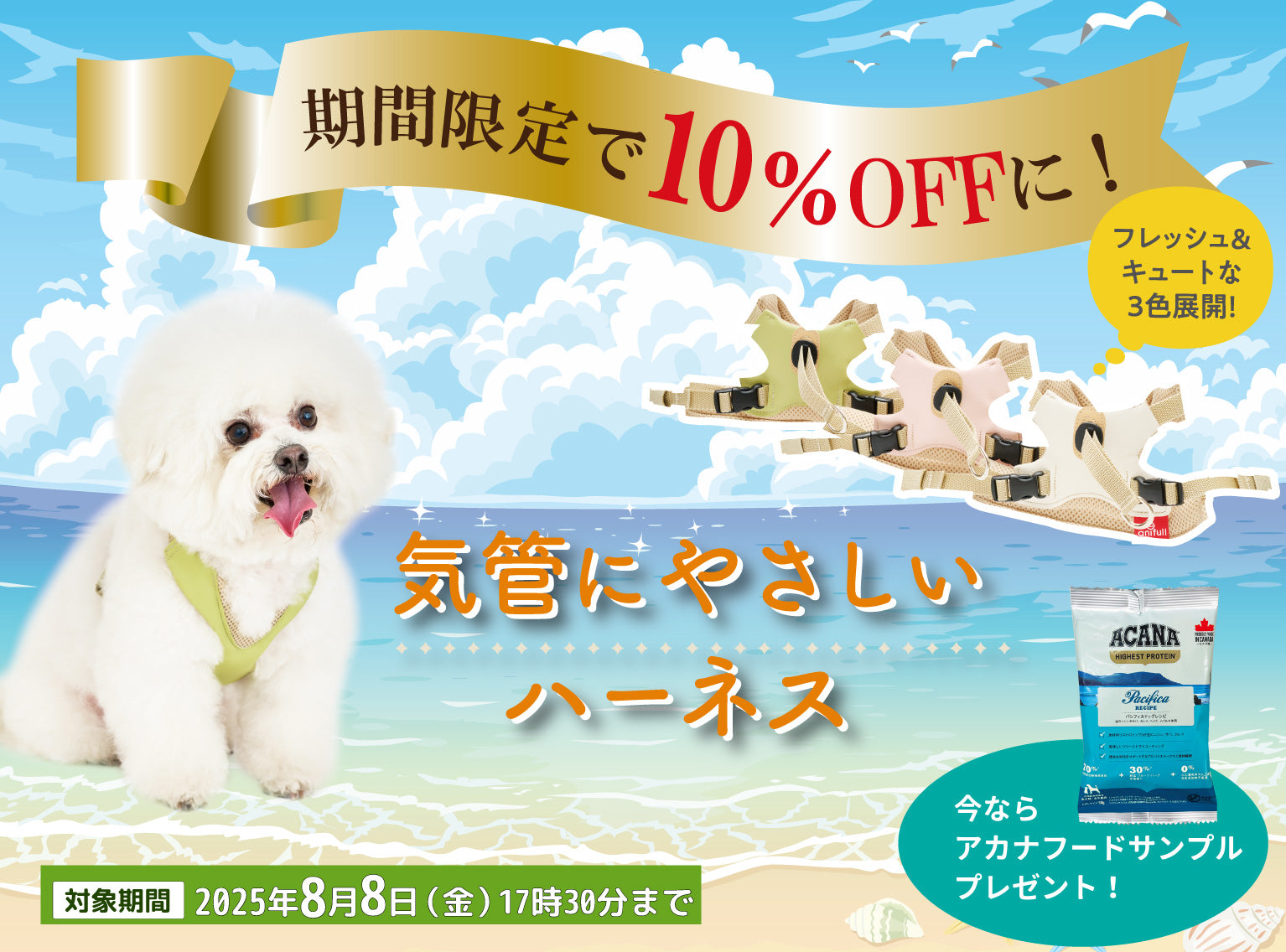 愛犬のしつけDVD 使用、未使用あり 楽天市場】しつけ dvd 犬の通販
