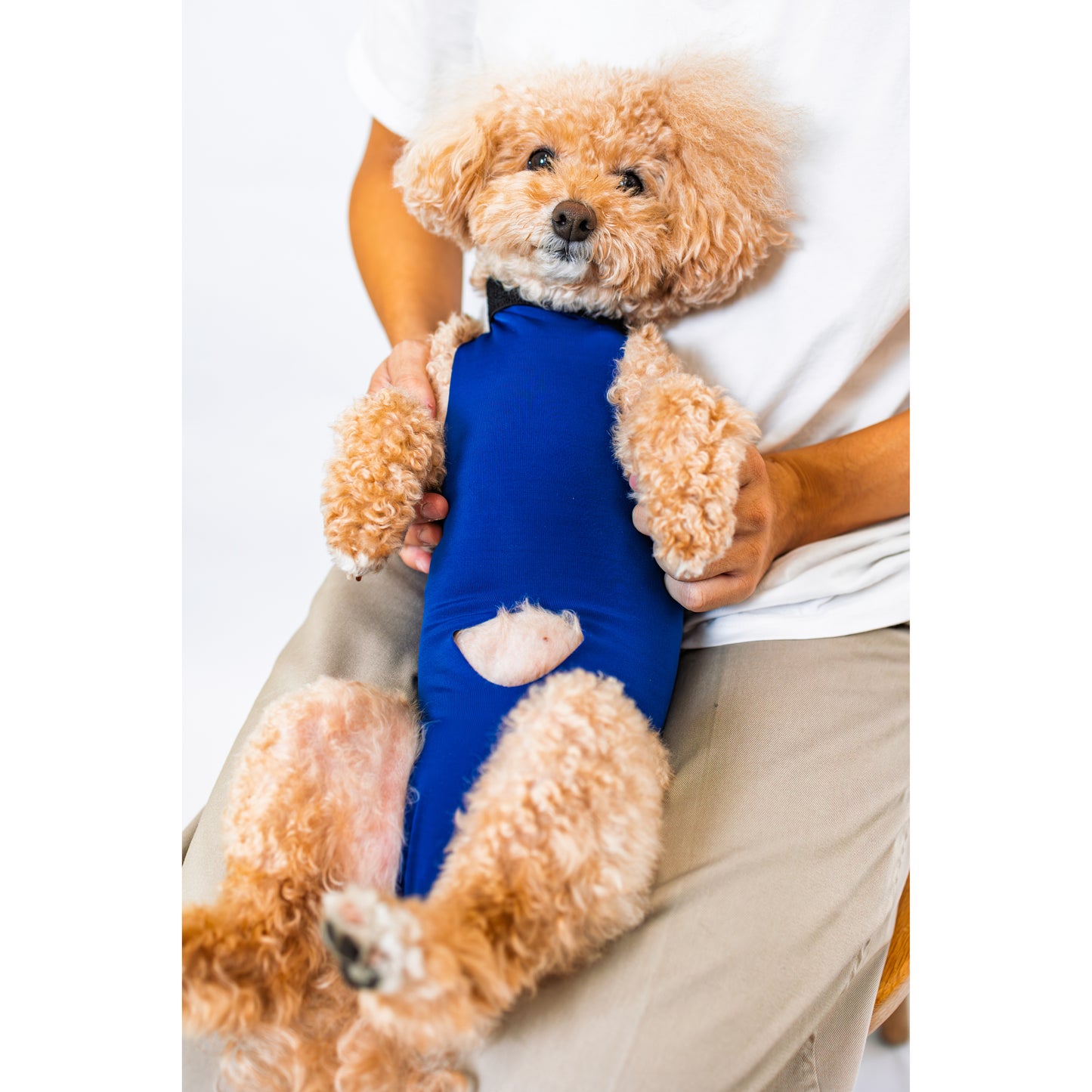 【2025年10月新発売】キズぐちエプロンSE 犬用