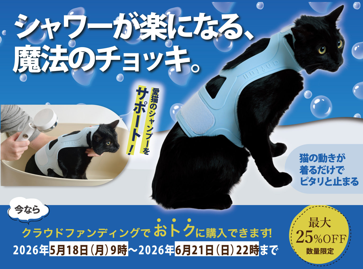 anifull（アニフル）｜動物と”ずっと一緒に歩く”を叶える