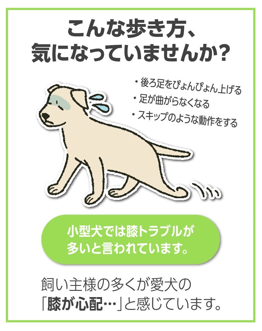 アニサポ ニーフィット