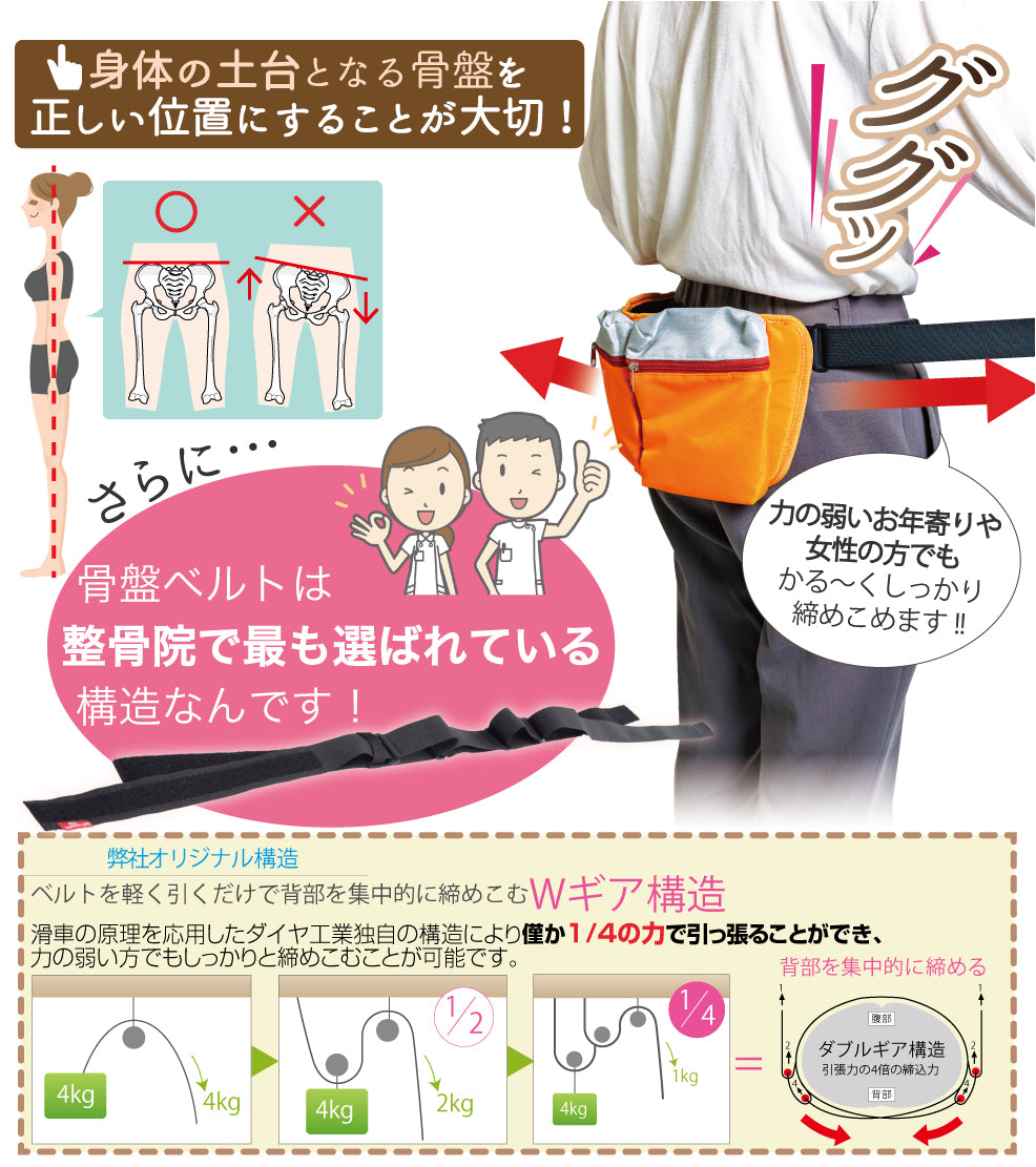 アニサポオーナー ポーチ付き骨盤ググッとベルト 骨盤帯 お散歩ポーチ