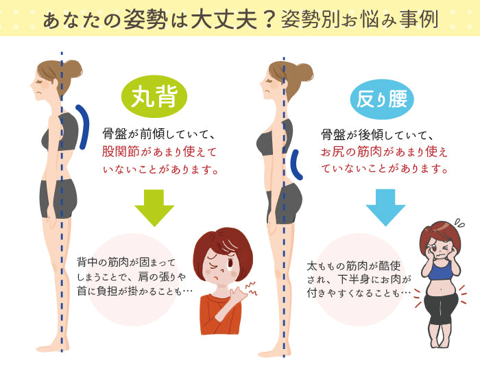 アニサポオーナー ポーチ付き骨盤ググッとベルト　骨盤帯　お散歩ポーチ