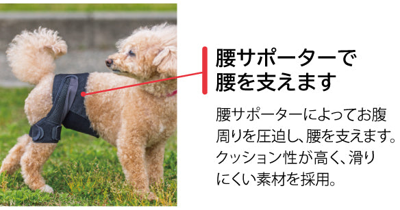 anitull 犬用サポーター　アニサポ　ヒップ　XSサイズ アニサポ ヒップ 小型犬向け 股関節サポーター – anifull