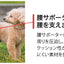 アニサポ ヒップ　小型犬向け 股関節サポーター