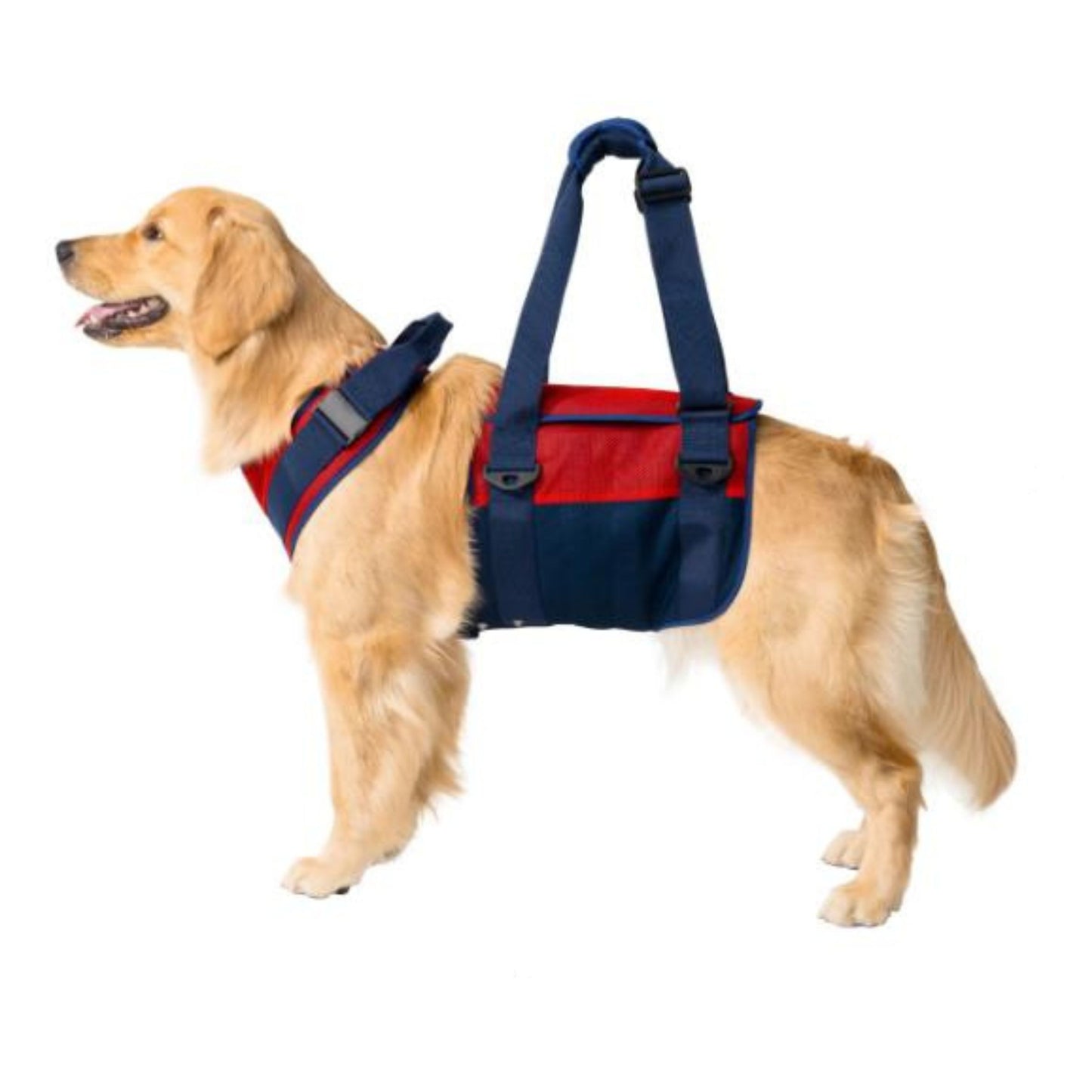 介護ハーネス LaLaWalk 大型犬用