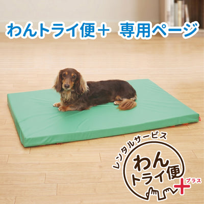 【レンタルサービスわんトライ便+】　防水マットレス グリーン