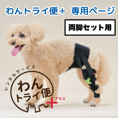 【レンタルサービスわんトライ便+】　アニサポ ニー 両脚セット用　【7日間】