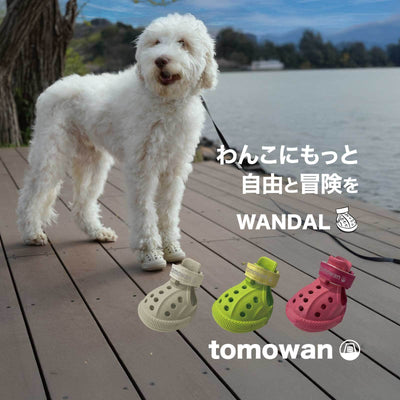わんちゃん専用シューズ WANDAL（ワンダル）4個入