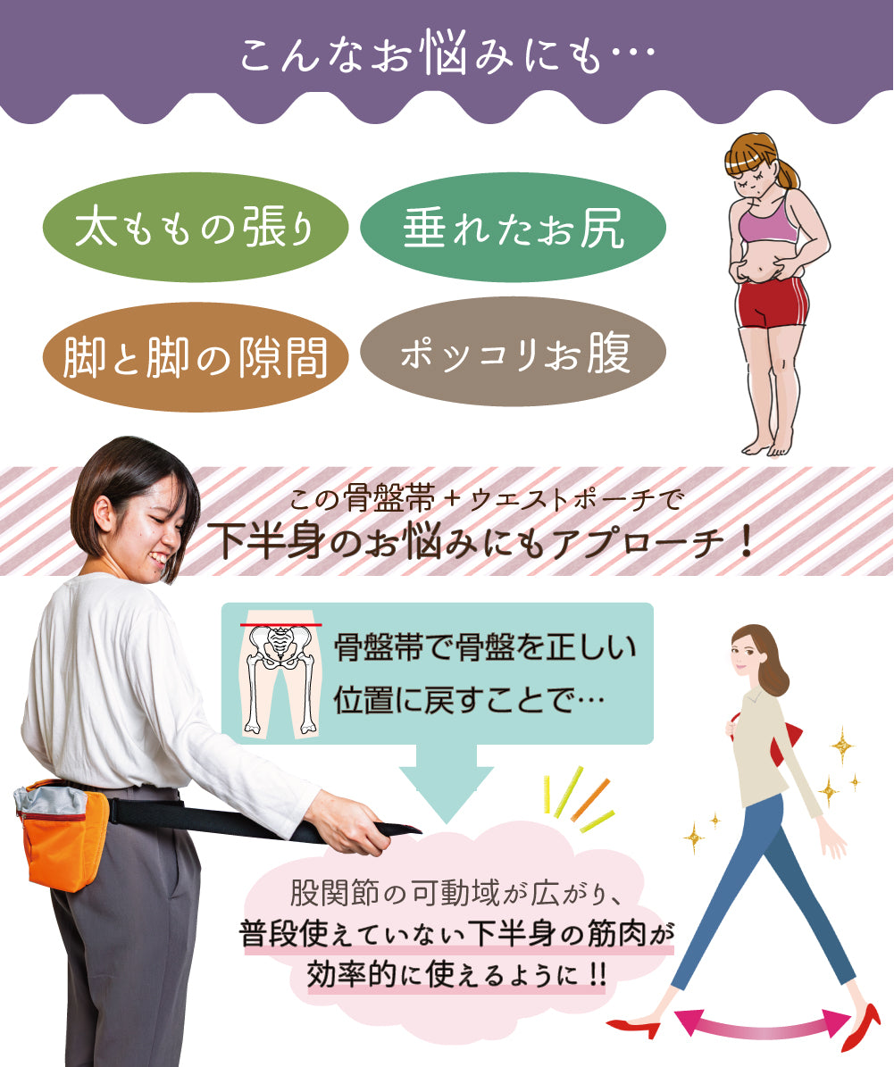 アニサポオーナー ポーチ付き骨盤ググッとベルト　骨盤帯　お散歩ポーチ
