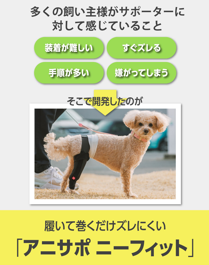 アニサポ ニーフィット