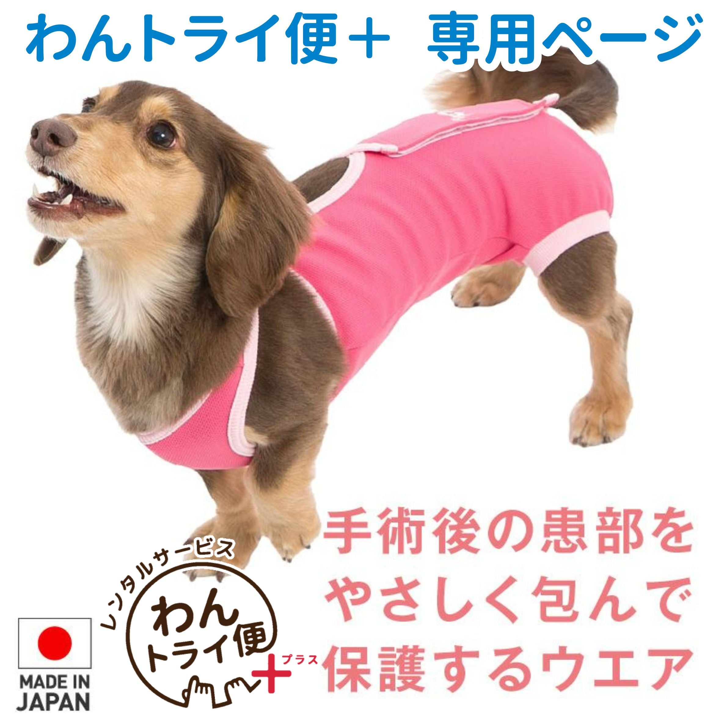 ヤマト娘　バックプリントプリント犬服 Tambedy（タムベディ） ＼お得なSALE開催中／犬 服 犬の服 秋服 冬服用